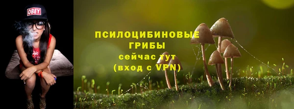 шишки Михайлов
