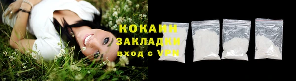 шишки Михайлов