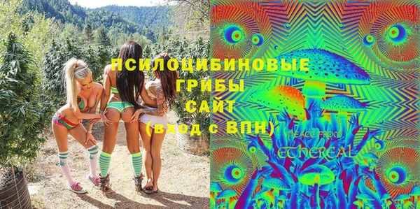 гашик Михайловка