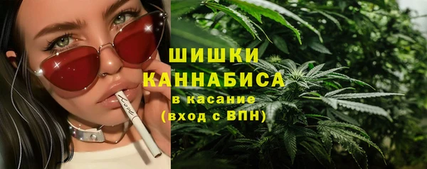 шишки Михайлов
